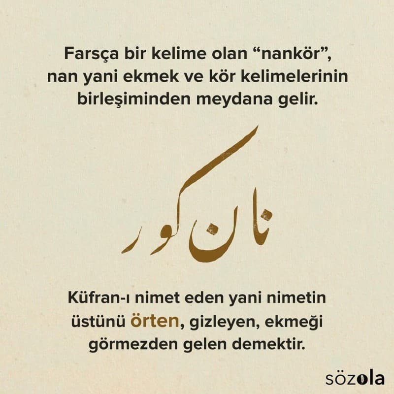 Söz Ola Projesi (5)
