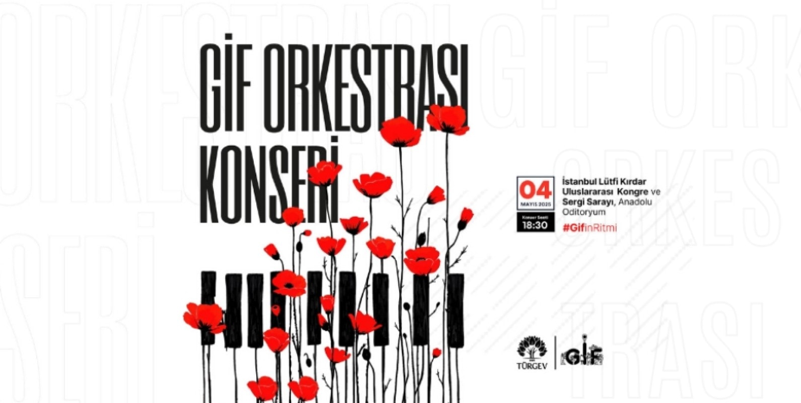GİF Kadın Orkestrası’ndan İstanbul’da Büyüleyici Konser!