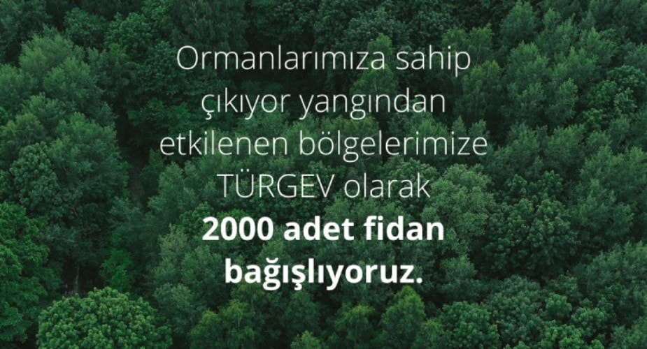 Fidan Bağışlıyoruz